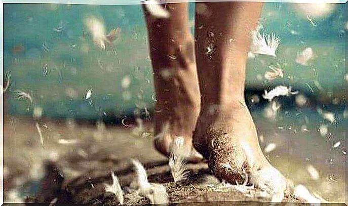 Feet walking with flying feathers