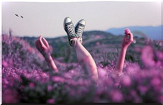 person lying in field of flowers