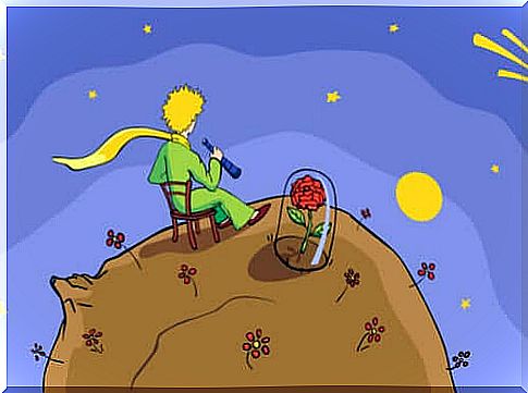 The little Prince