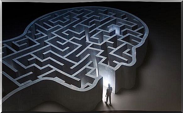 the labyrinths of the human mind