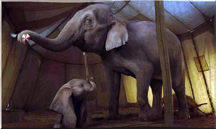 Scene from the movie 'Dumbo'