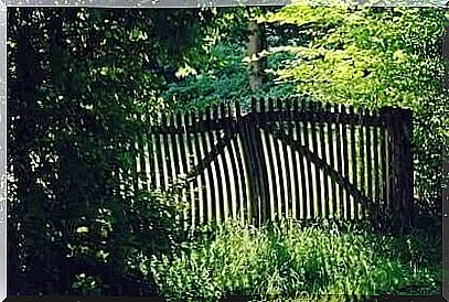 House gate with lots of plants