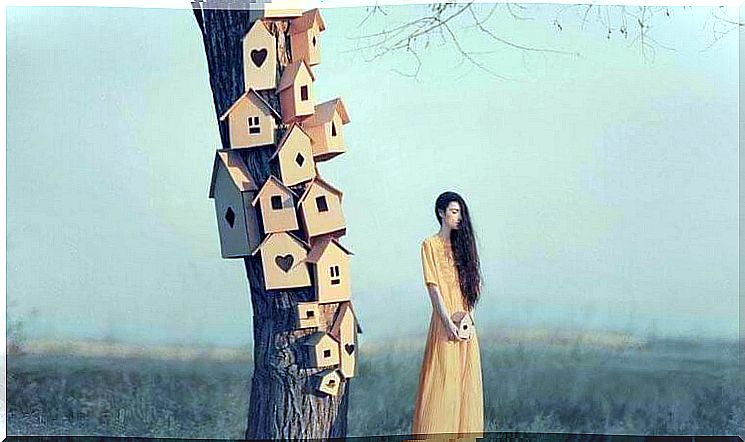 tree trunk houses