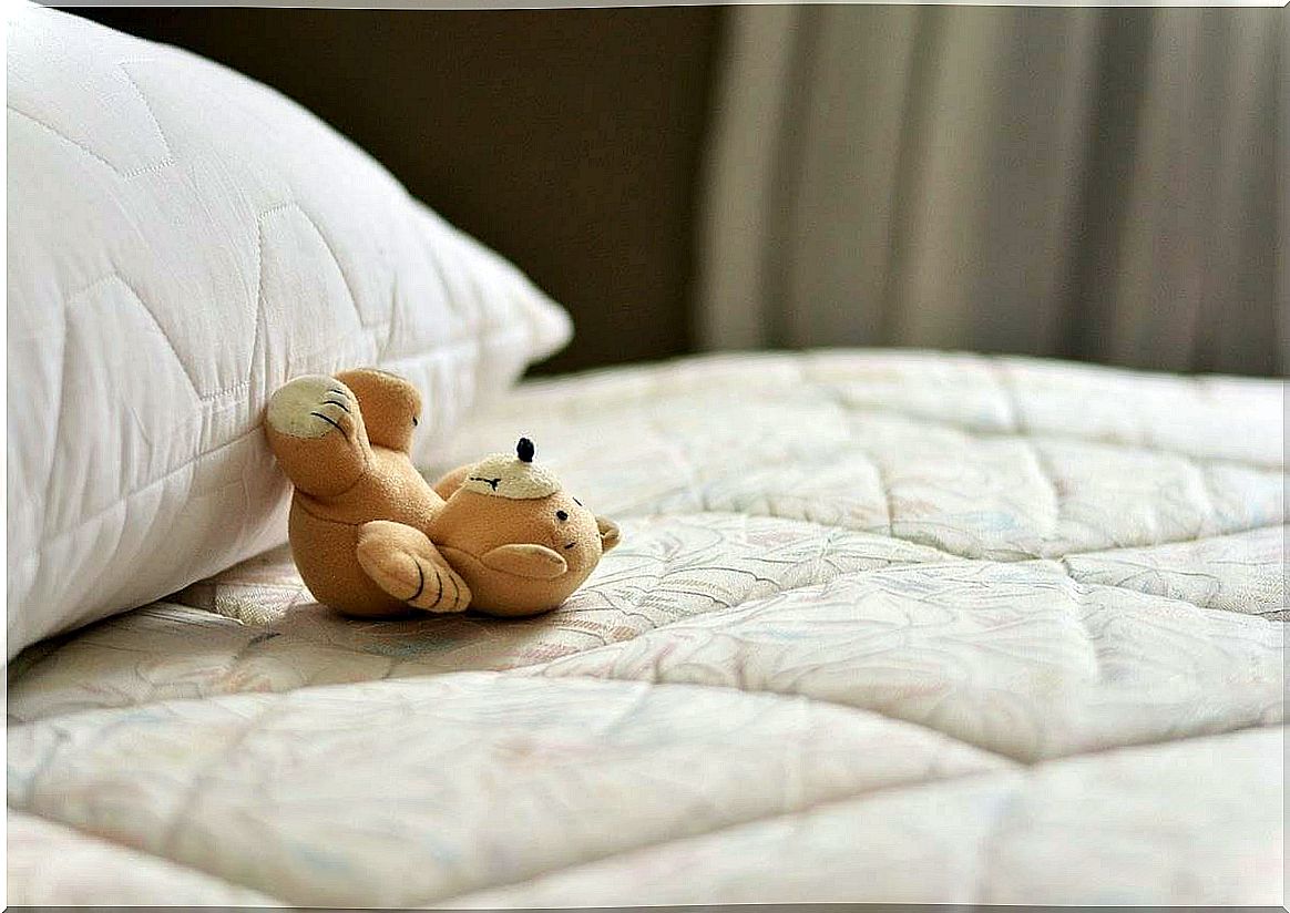 teddy bear on pillow