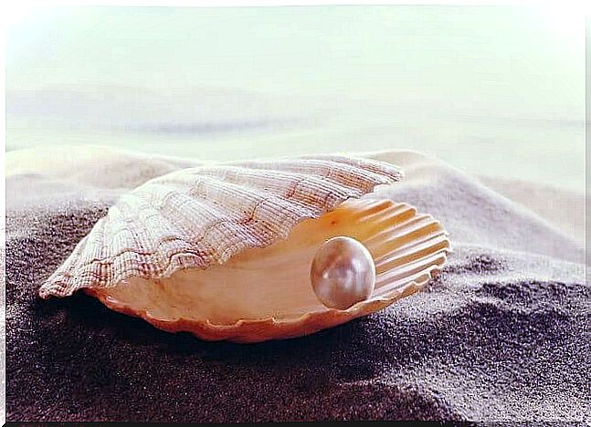 Shell with pearl in the sand