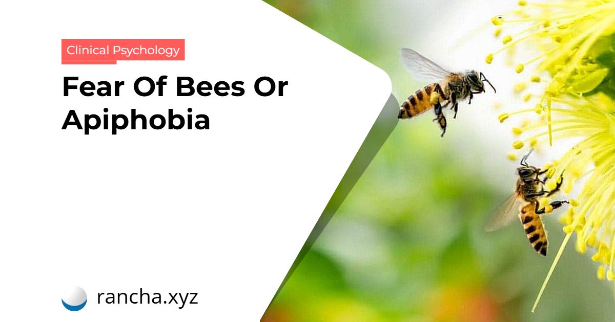 Fear Of Bees Or Apiphobia