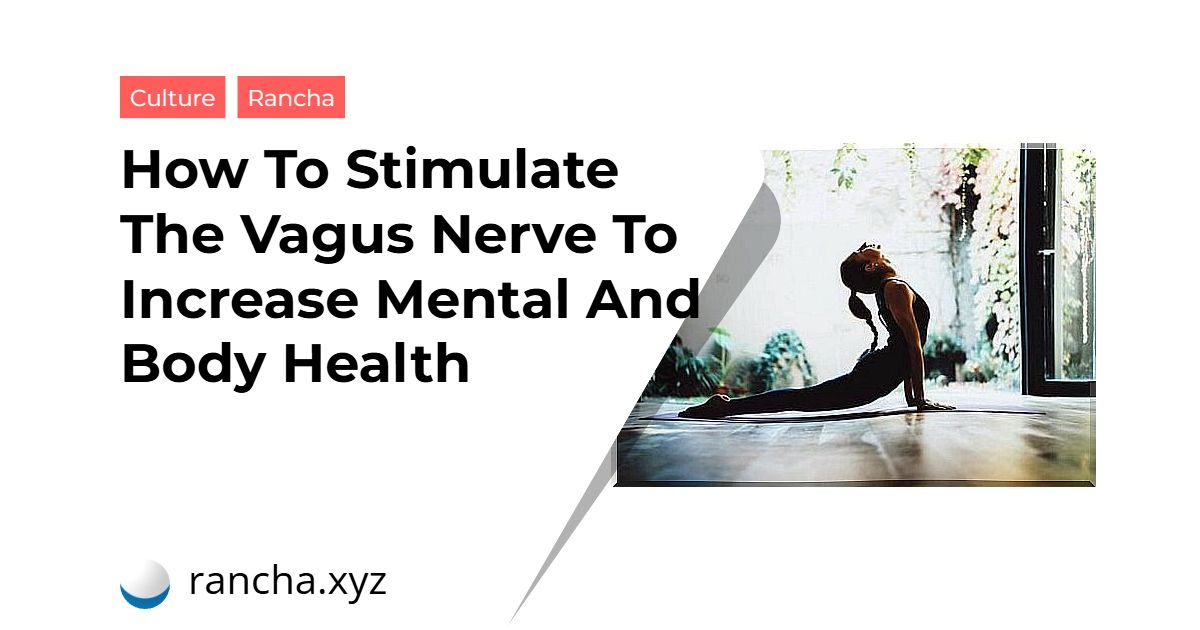 How To Stimulate The Vagus Nerve To Increase Mental And Body Health