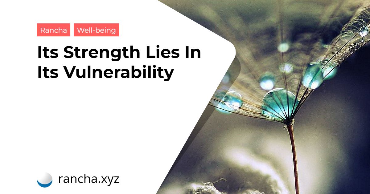 Its Strength Lies In Its Vulnerability