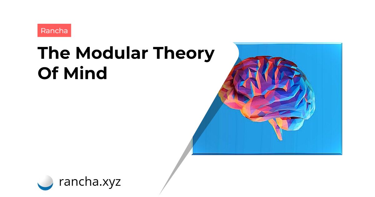 The Modular Theory Of Mind