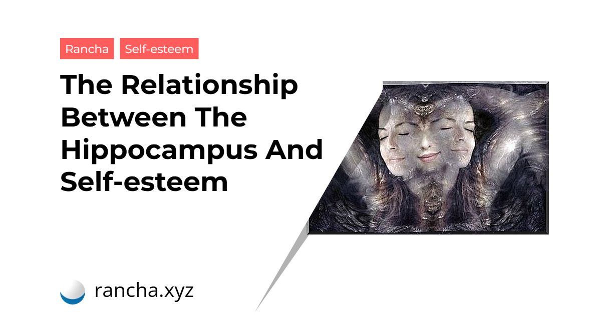 The Relationship Between The Hippocampus And Self-esteem