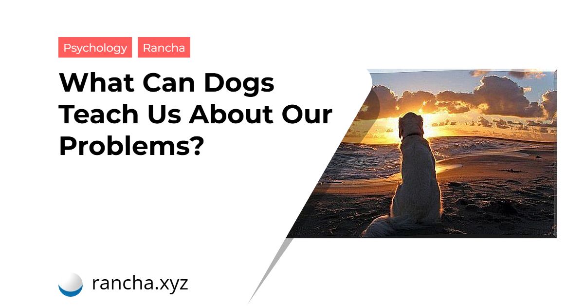 What Can Dogs Teach Us About Our Problems?