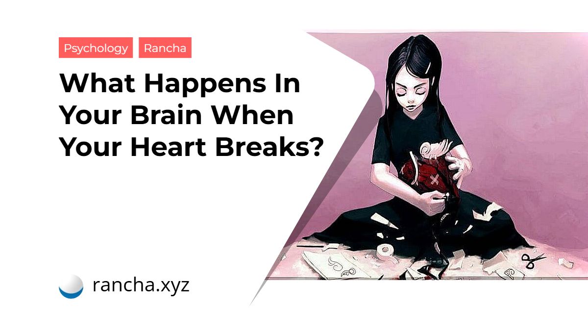 What Happens In Your Brain When Your Heart Breaks?