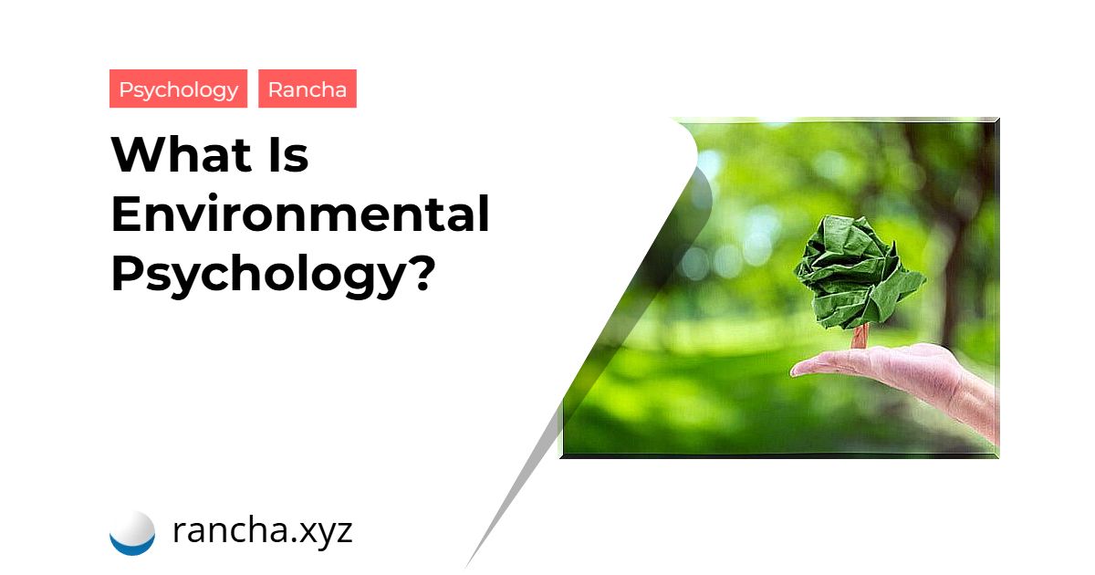 What Is Environmental Psychology?