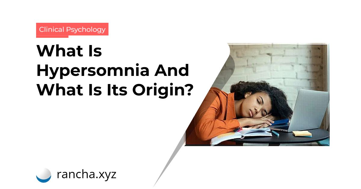 What Is Hypersomnia And What Is Its Origin?