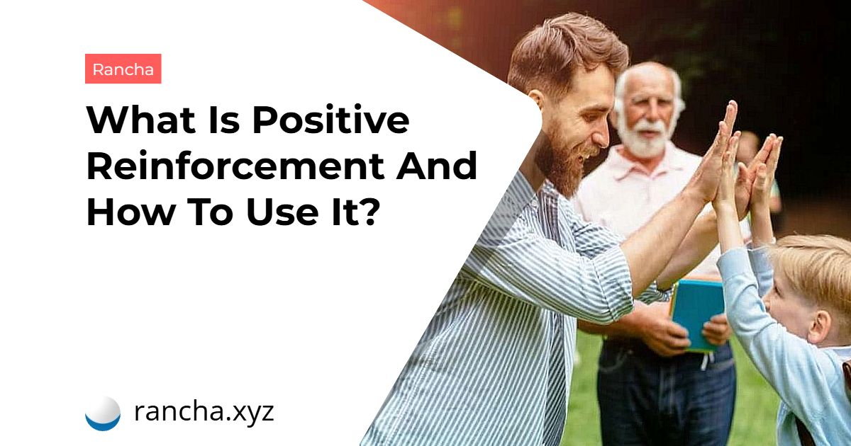 What Is Positive Reinforcement And How To Use It?