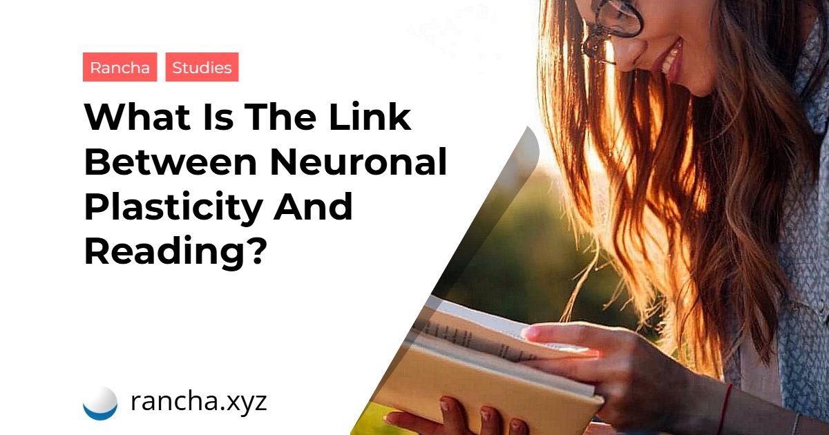 What Is The Link Between Neuronal Plasticity And Reading?