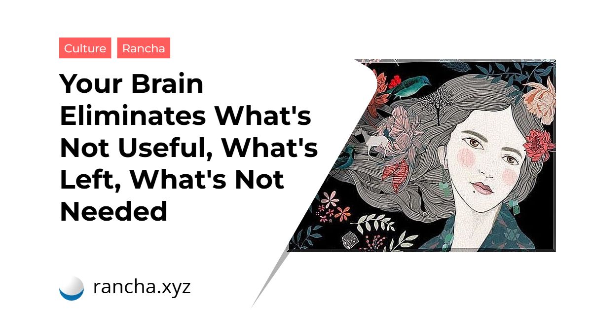 Your Brain Eliminates What’s Not Useful, What’s Left, What’s Not Needed